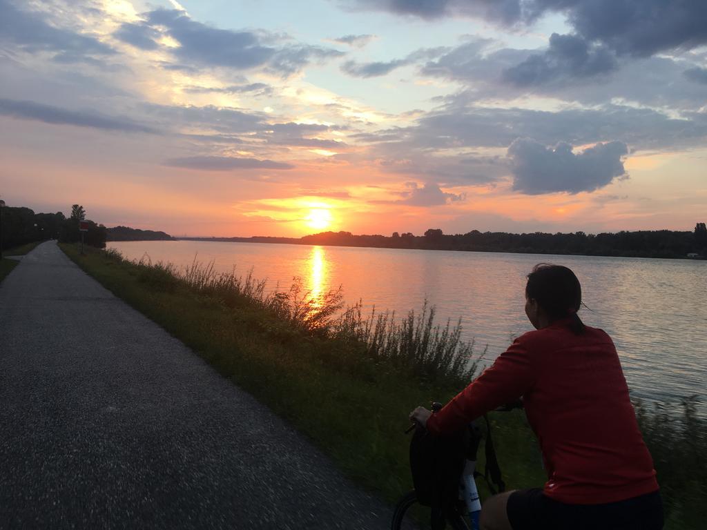 Donaupark Camping Tulln Tulln An Der Donau Esterno foto