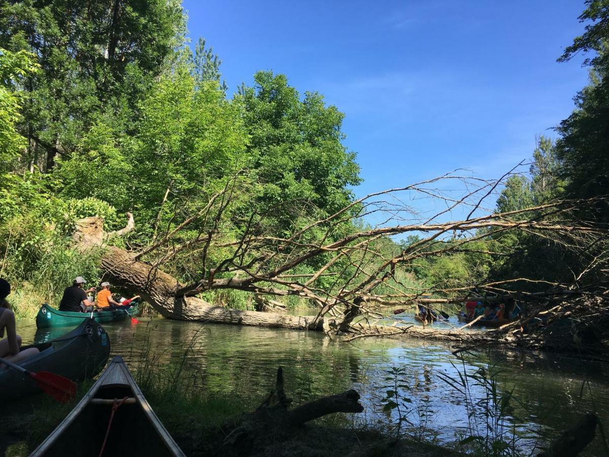Donaupark Camping Tulln Tulln An Der Donau Esterno foto