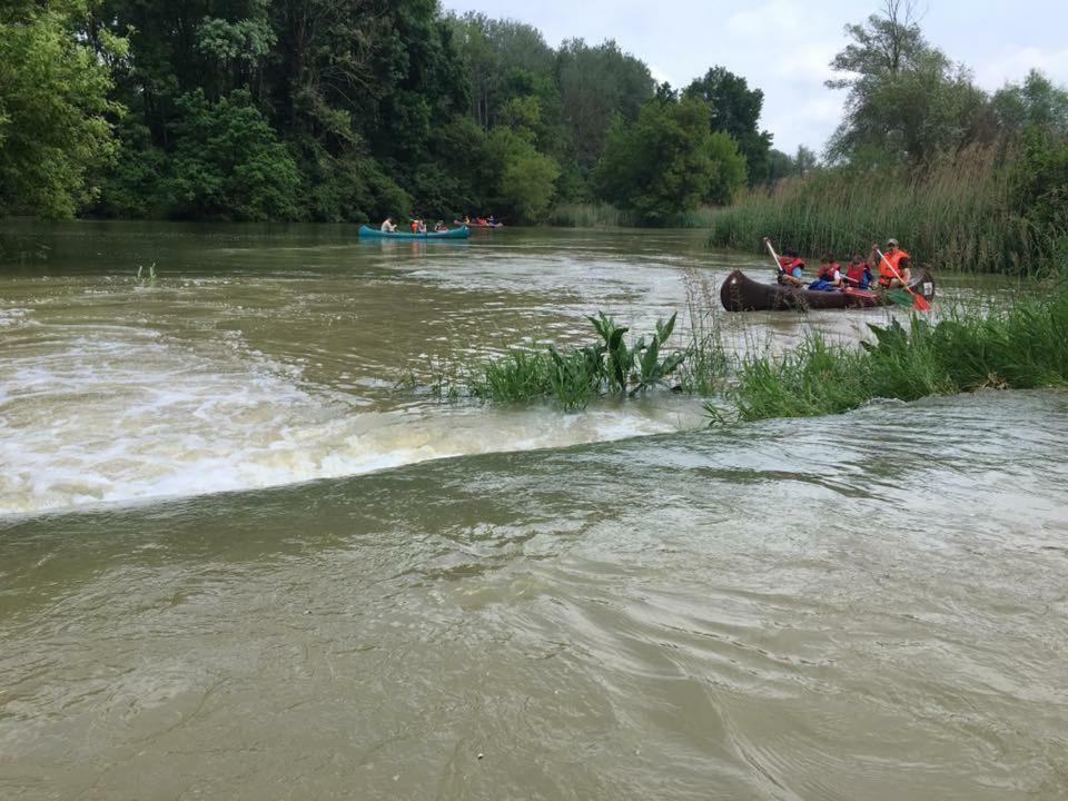 Donaupark Camping Tulln Tulln An Der Donau Esterno foto